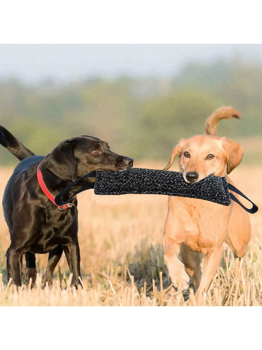 1pc Dog Bite Stick, Training- Interactive Play, Grinding Teeth, And Chew Training