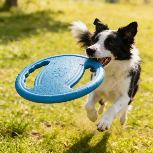 Dogs EVA Flying Disc Tooth Chew Play Train Toy