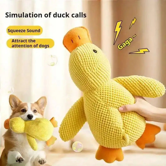 Durable Squeaky for Puppy Teeth Cleaning
