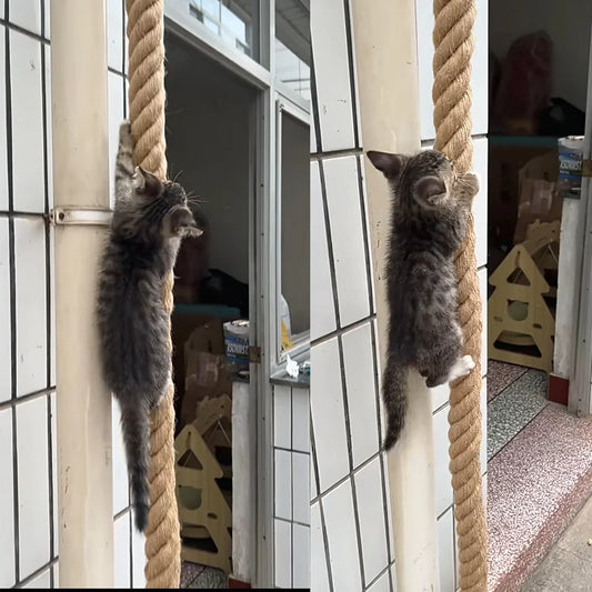 Cat climbing rope with hook suitable for indoor and outdoor