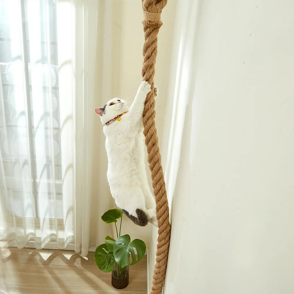 Cat climbing rope with hook suitable for indoor and outdoor