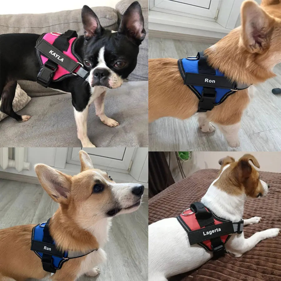 Dog Harness Reflective Breathable Adjustable ID Custom Patch