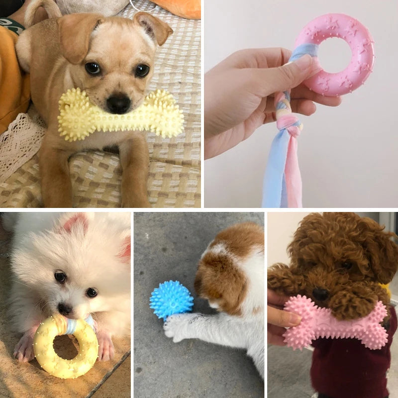 Pet Dog Toys For Small Dog Chews Cleaning Training Interactive