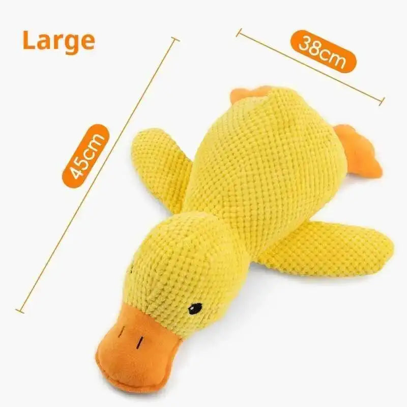 Durable Squeaky for Puppy  Teeth Cleaning