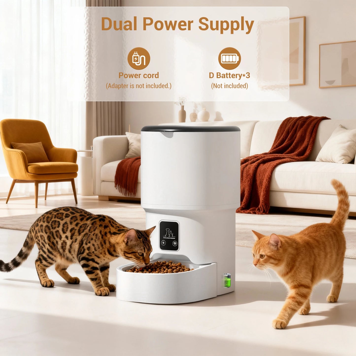 Programmable 4L Automatic Pet Feeder for Small Dogs Cats, Up to 6 Meals Daily, Timer/Portion Control