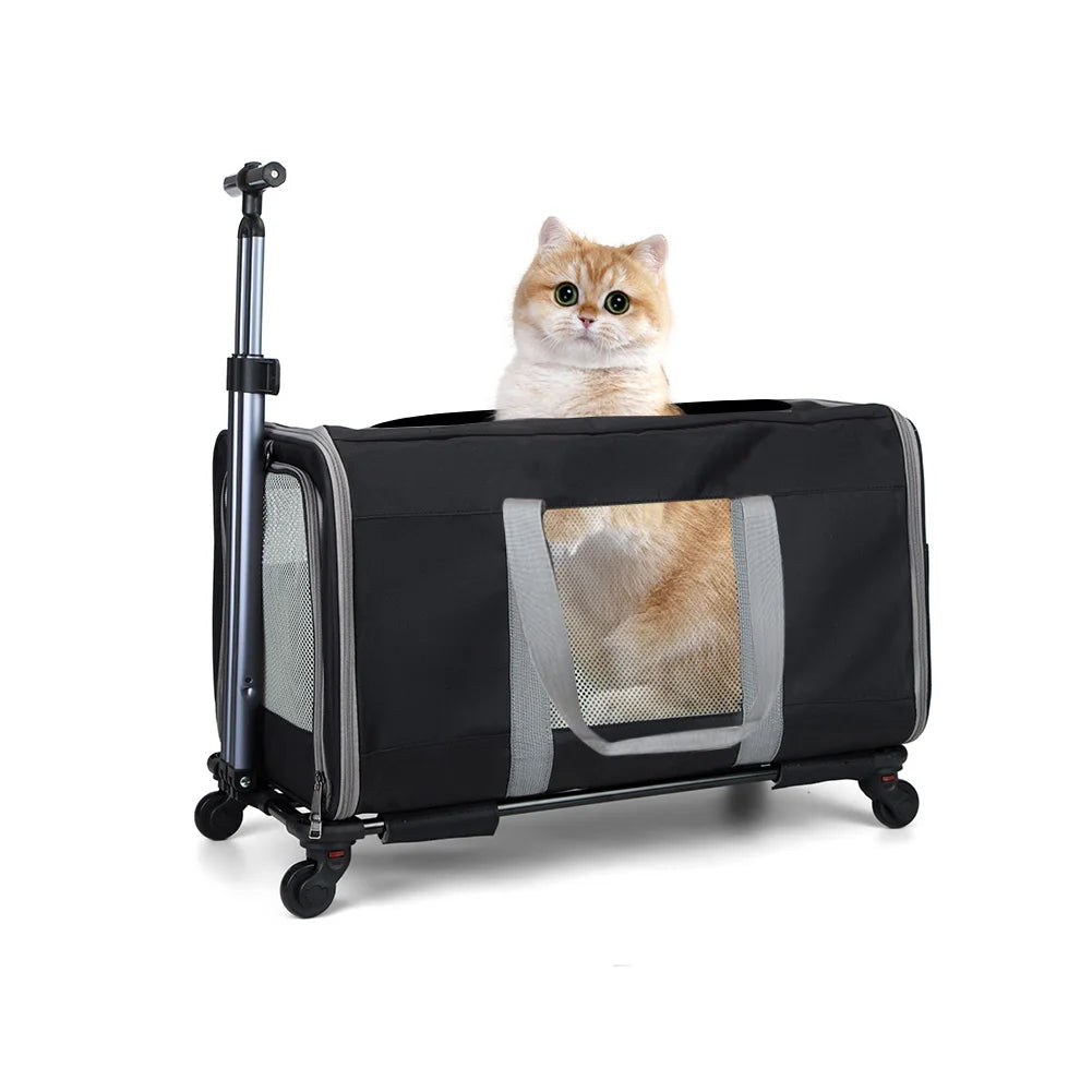 Cat trolley for 2 cats – Cat transport with wheels for 2 animals