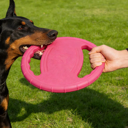 Dogs EVA Flying Disc Tooth Chew Play Train Toy
