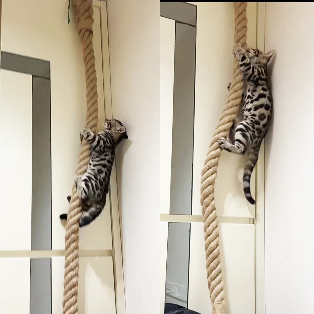 Cat climbing rope with hook suitable for indoor and outdoor