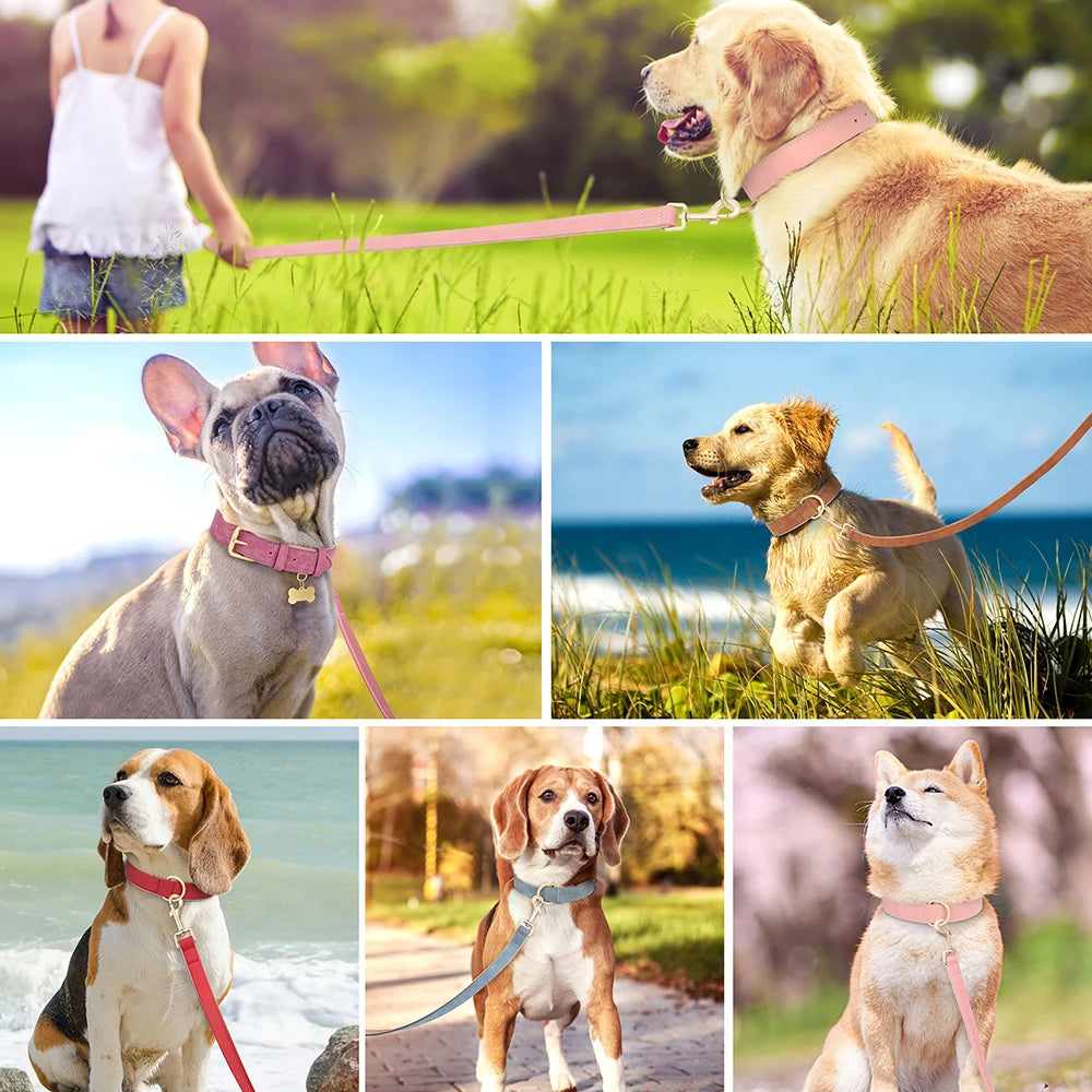 Soft Padded Dog Collar Leash Set PU Leather  Necklace With Walking Lead Rope Adjustable