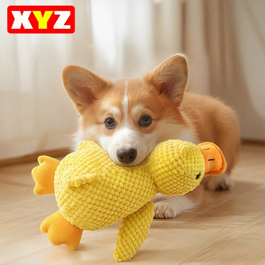 Durable Squeaky for Puppy  Teeth Cleaning