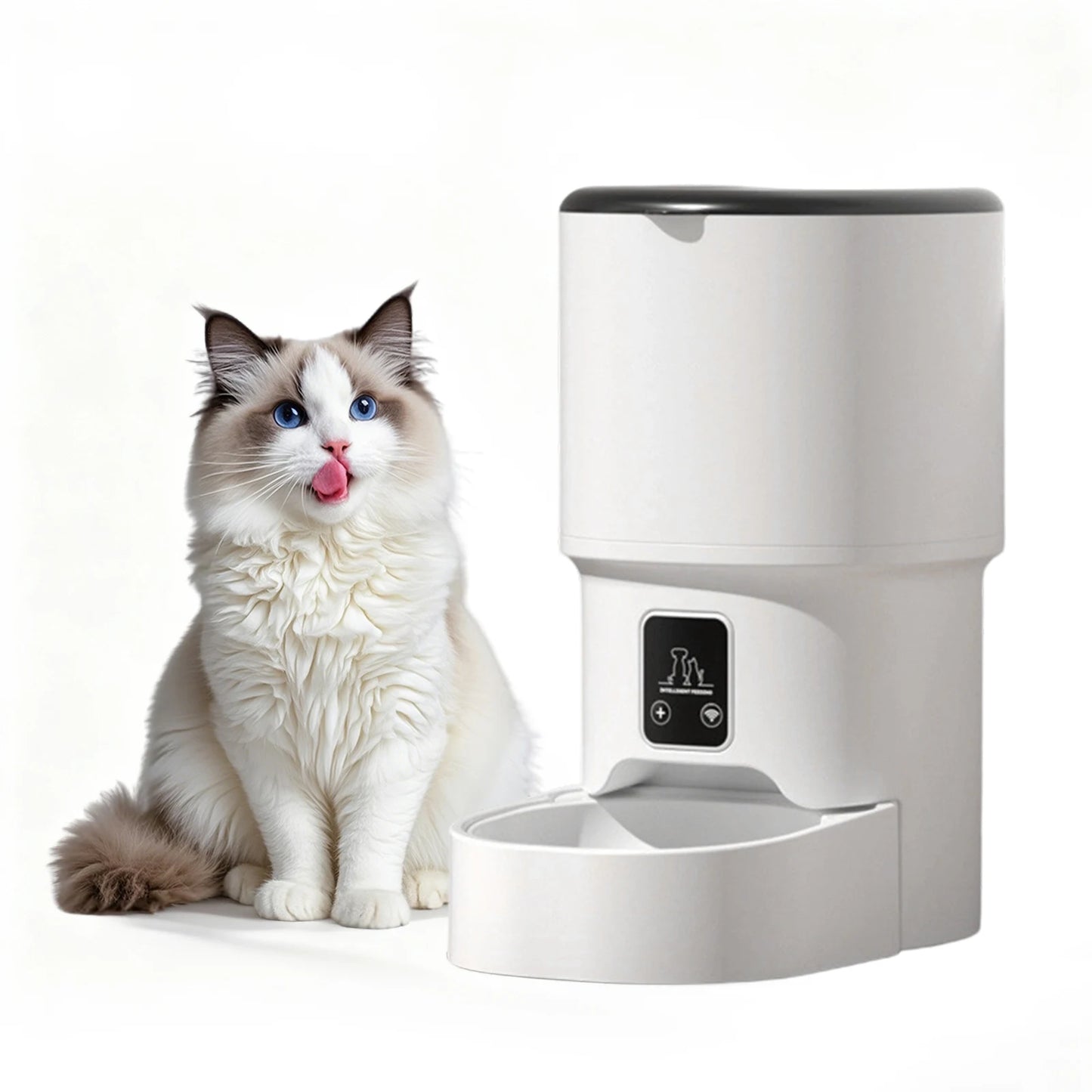 Programmable 4L Automatic Pet Feeder for Small Dogs Cats, Up to 6 Meals Daily, Timer/Portion Control