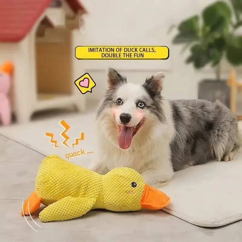 Durable Squeaky for Puppy  Teeth Cleaning