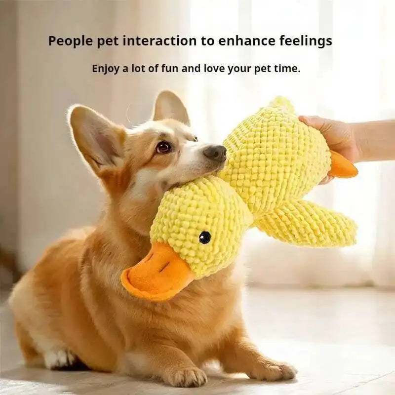Durable Squeaky for Puppy  Teeth Cleaning