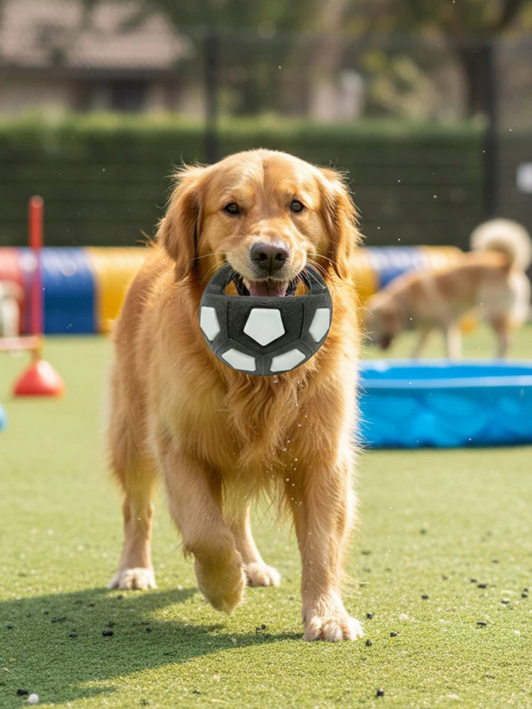 Dog Calming Ball with Handle Pet Dog, Interactive Squeaky Pet