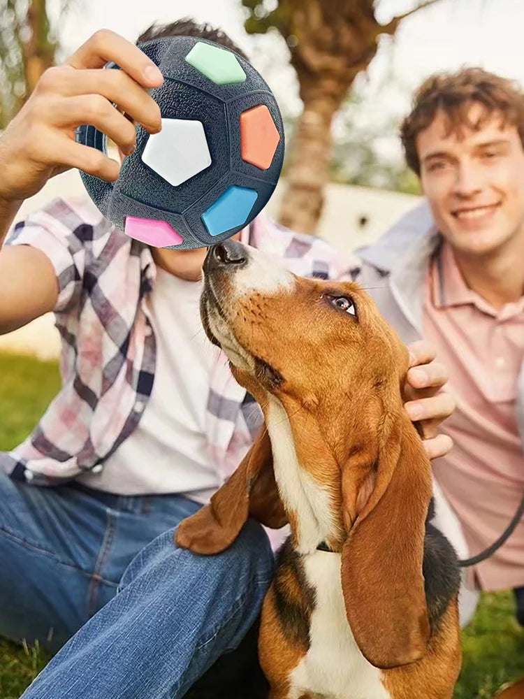 Dog Calming Ball with Handle Pet Dog, Interactive Squeaky Pet