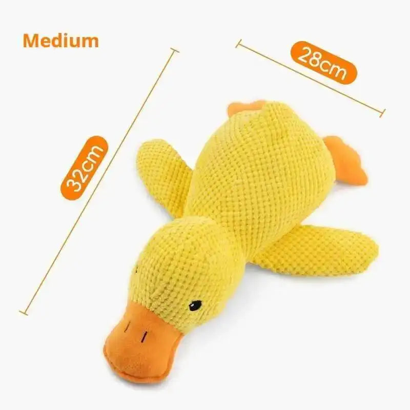 Durable Squeaky for Puppy  Teeth Cleaning