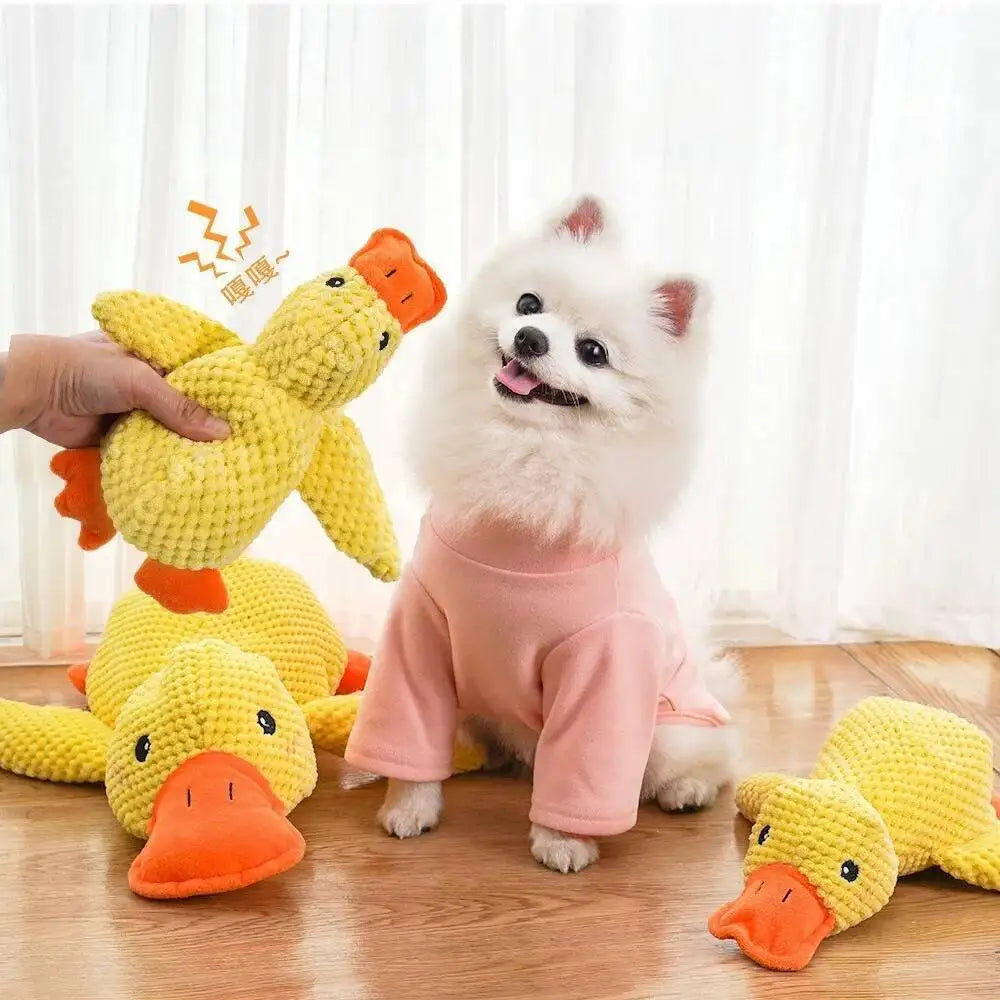 Durable Squeaky for Puppy  Teeth Cleaning