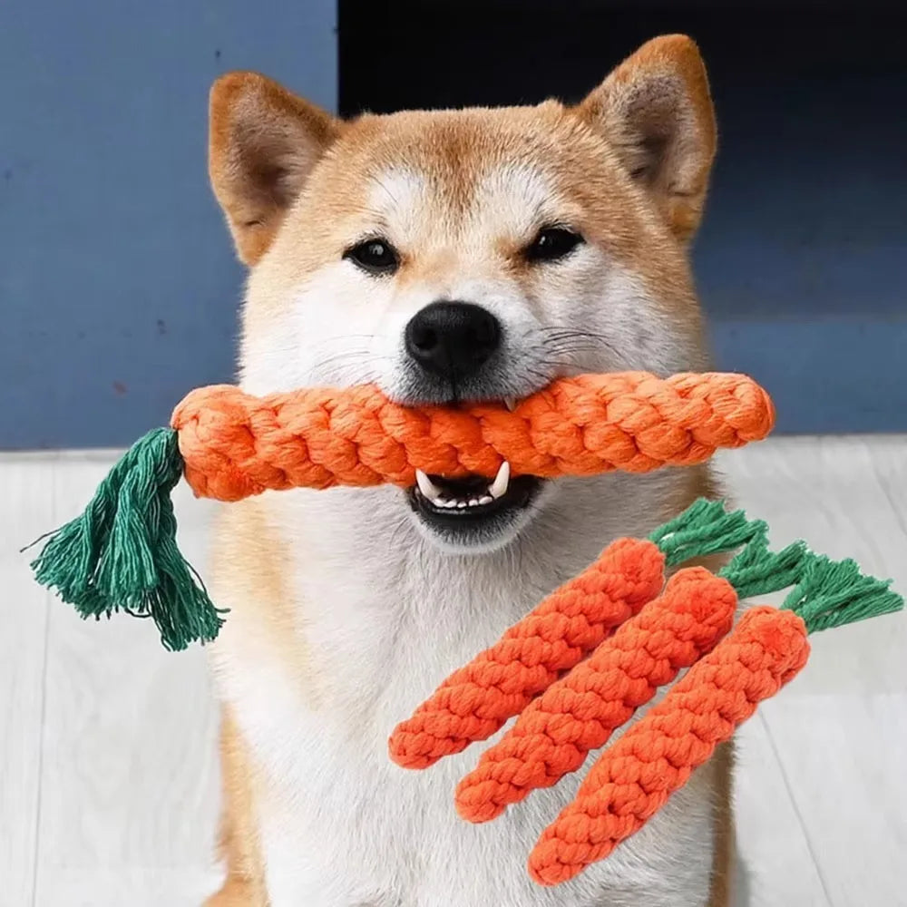 Durable Squeaky for Puppy  Teeth Cleaning