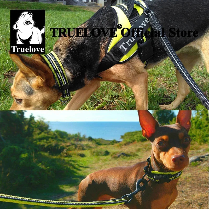 Truelove Cat, Dog Collar, Nylon Adjustable Webbing, Padded Soft Reflective Durable Heavy Duty Training