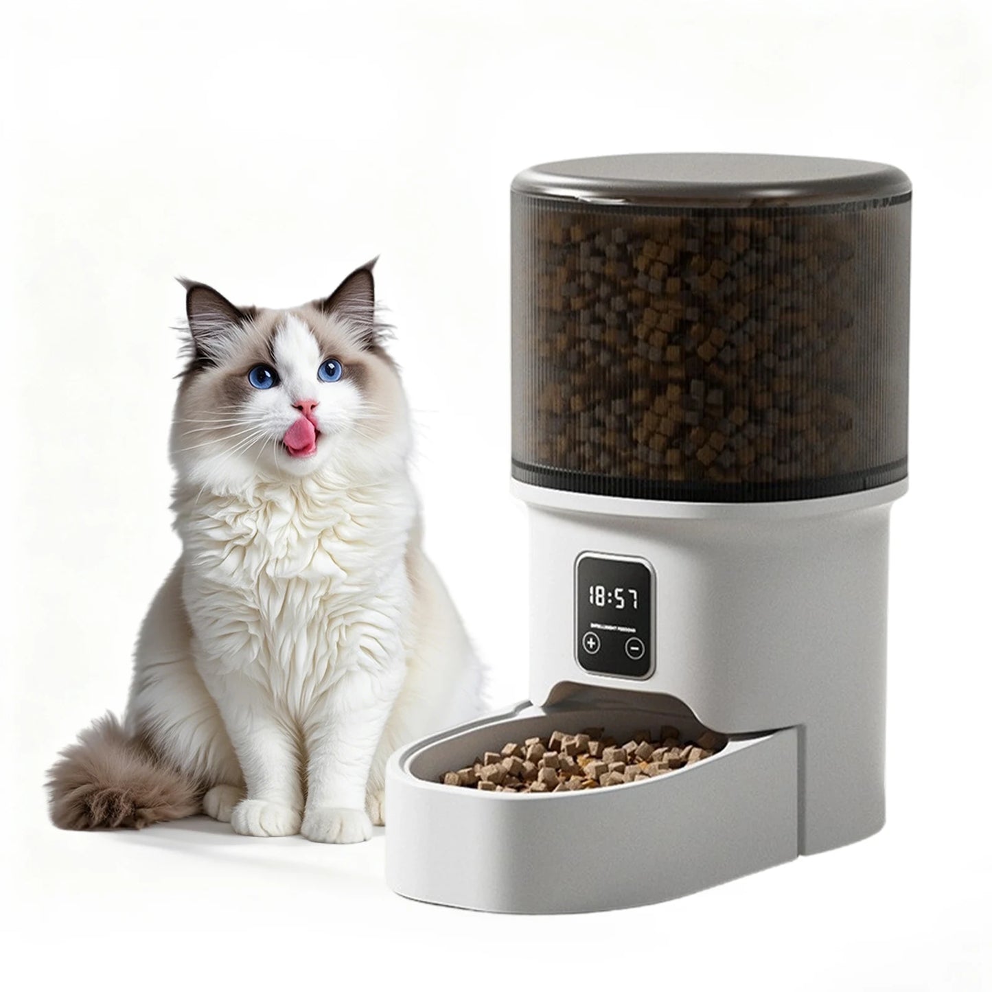 Programmable 4L Automatic Pet Feeder for Small Dogs Cats, Up to 6 Meals Daily, Timer/Portion Control