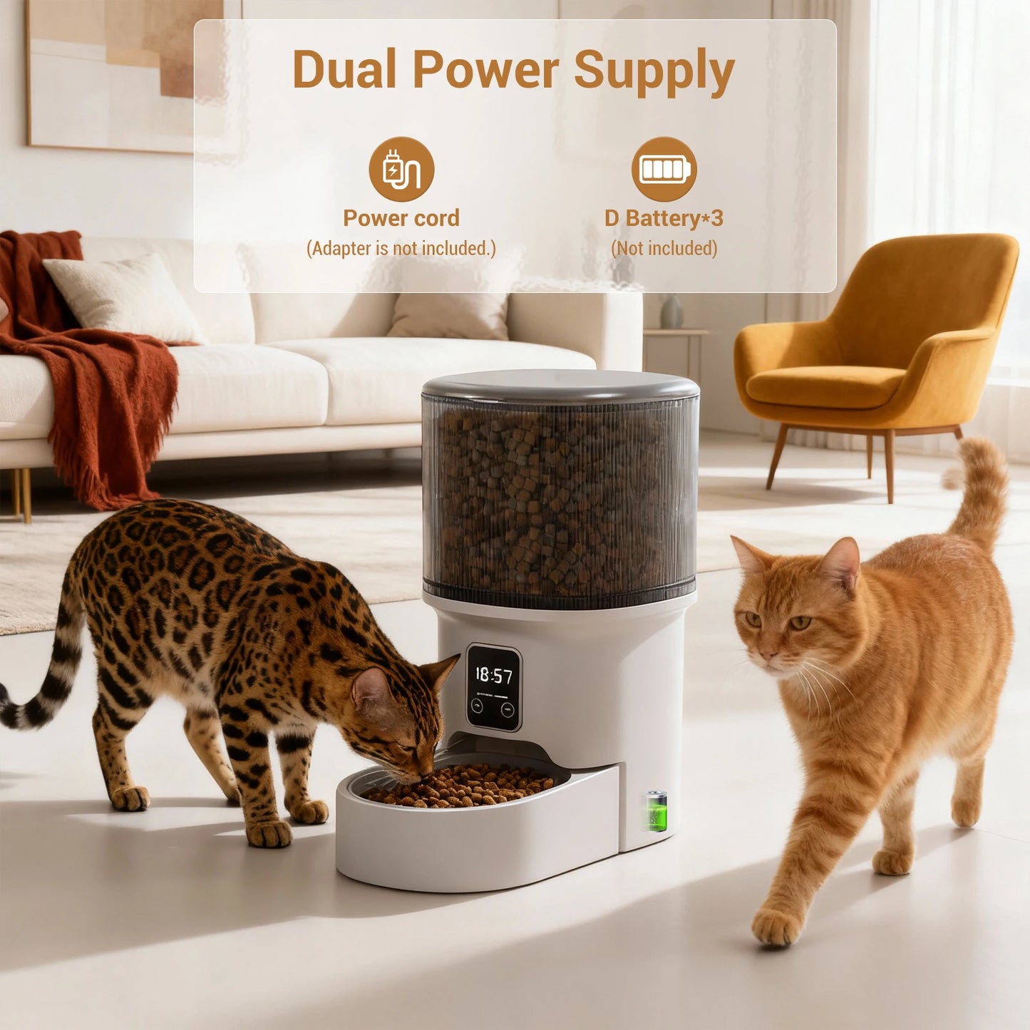 Programmable 4L Automatic Pet Feeder for Small Dogs Cats, Up to 6 Meals Daily, Timer/Portion Control