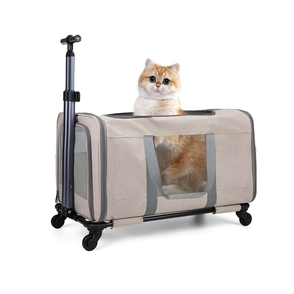 Cat trolley for 2 cats – Cat transport with wheels for 2 animals